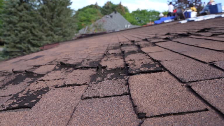 Best Roof Ventilation Installation  in Dillonvale, OH
