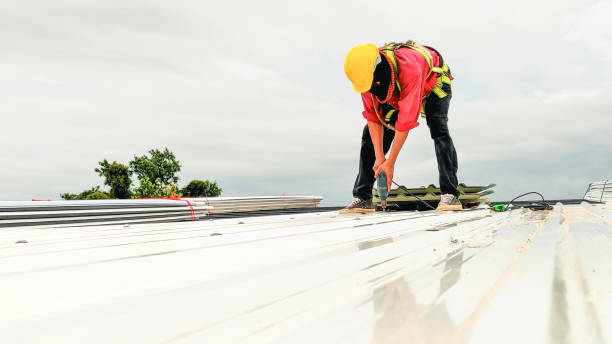 Best Storm Damage Roof Repair  in Dillonvale, OH