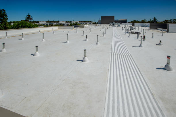 Best Sheet Metal Roofing  in Dillonvale, OH